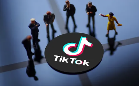 tiktok安卓下载_tiktok安卓下载破解版