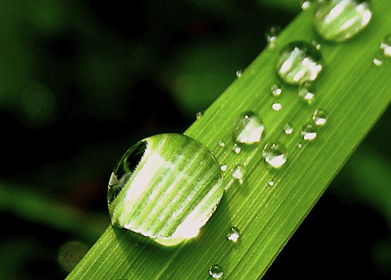 雨露软件下载_下载雨露计划app软件下载