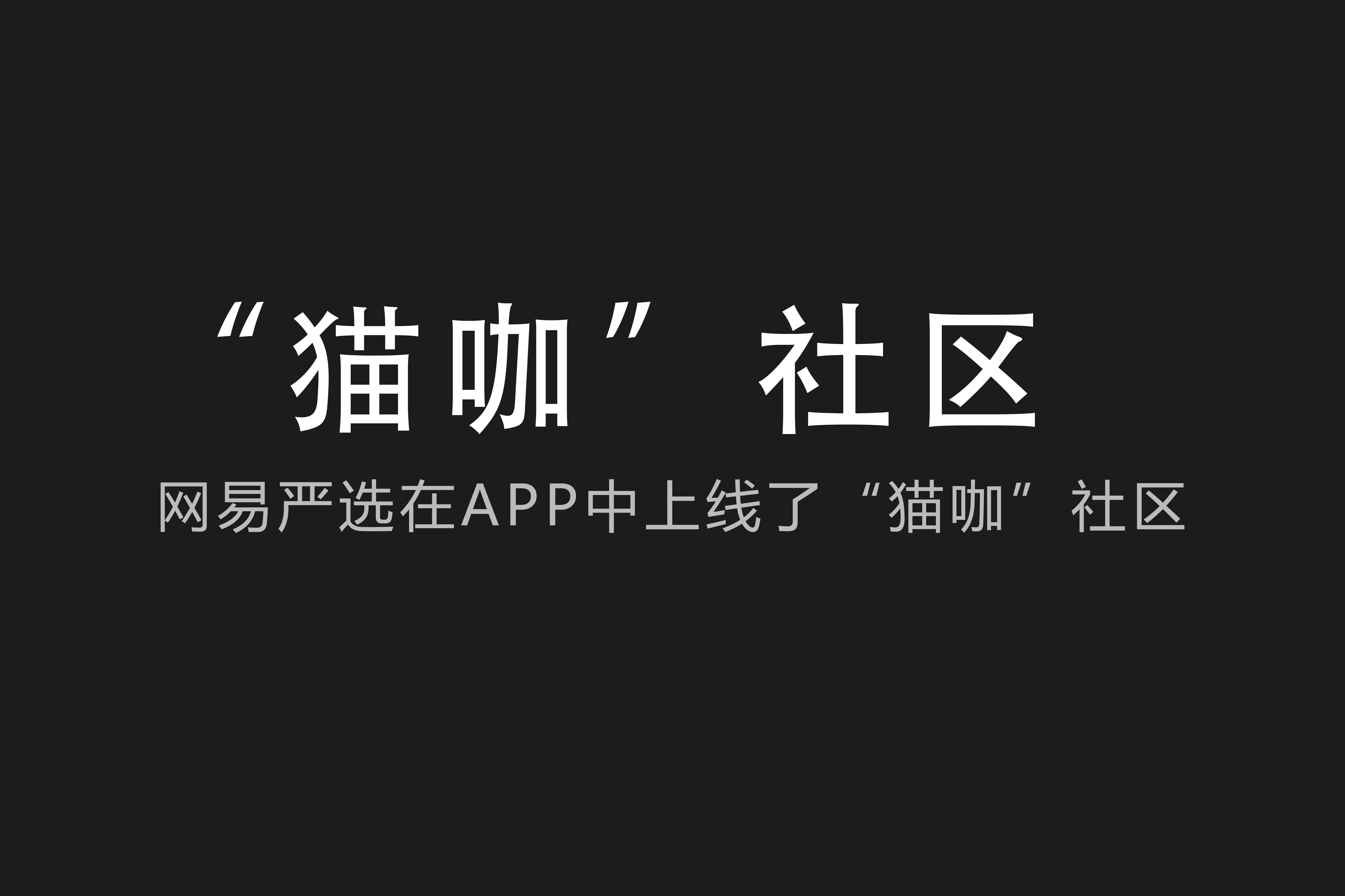 猫咪社区官网下载地址-猫咪社区app下载路线官网