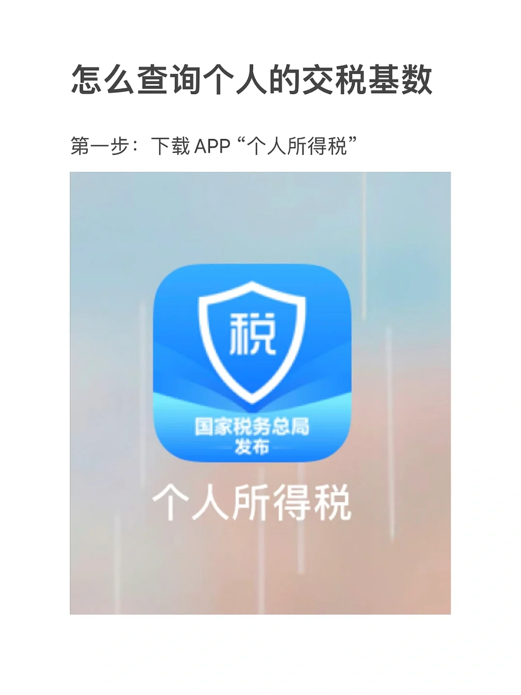 个税app下载-重庆个税APP下载