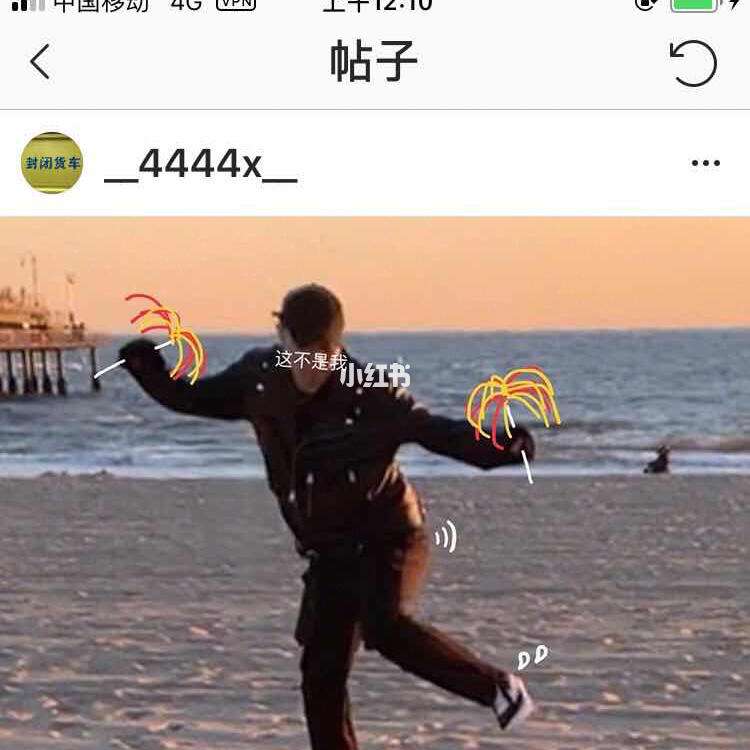 instagram安卓下载-instagram安卓下载最新版本